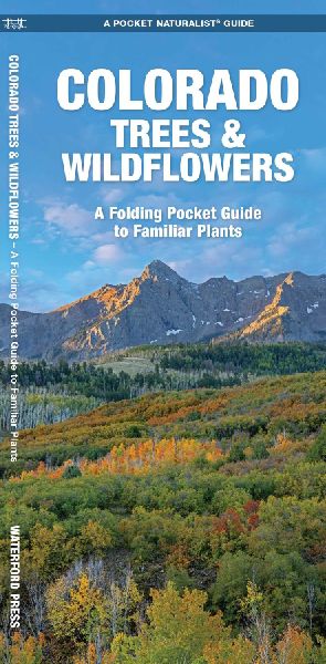 Colorado Trees & Wildflowers