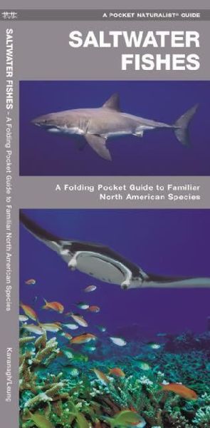 Saltwater Fishes: A Folding Pocket Guide to Familiar North American Species