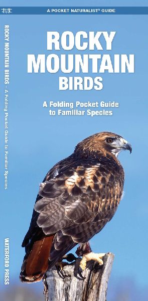 Rocky Mountain Birds: A Folding Pocket Guide to Familiar Species