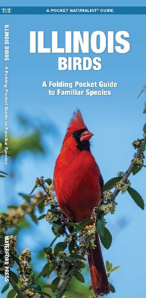 Illinois Birds: A Folding Pocket Guide to Familiar Species