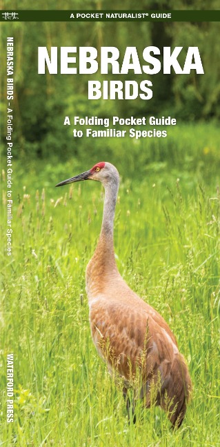 Nebraska Birds: An Introduction to Familiar Species