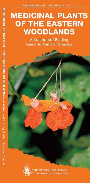 Medicinal Plants of the Eastern Woodlands: A Folding Pocket Guide to Familiar Species