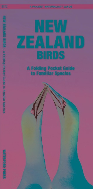 New Zealand Birds