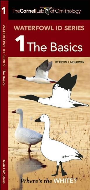 Cornell Lab of Ornithology Waterfowl Id Series: 1 the Basics