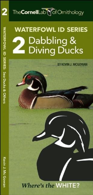 Cornell Lab of Ornithology Waterfowl ID Series: 2 Dabbling & Diving Ducks : Cornell Lab of Ornithology Bird ID Series