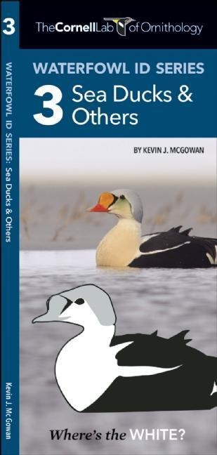 Cornell Lab of Ornithology Waterfowl ID Series: 3 Sea Ducks & Others : Cornell Lab of Ornithology Bird ID Series