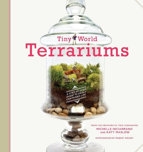 Tiny World Terrariums: A Step-By-Step Guide