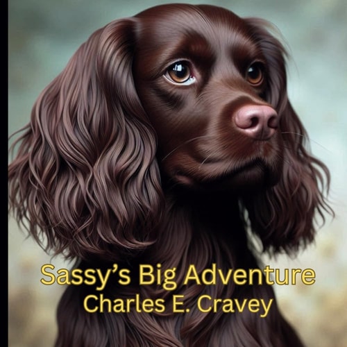 Sassy's Big Adventure