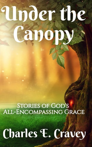Under the Canopy Stories of God's All-Encompassing Grace