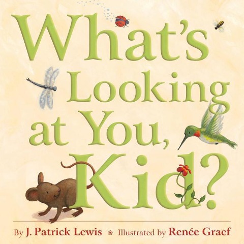 Whats Looking at You, Kid?