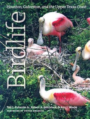 Birdlife of Houston, Galveston, and the Upper Texas Coast: Volume 10