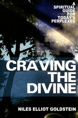 Craving the Divine: A Spiritual Guide for Todays Perplexed