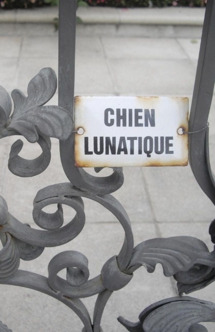 Chien Lunatique: Poems