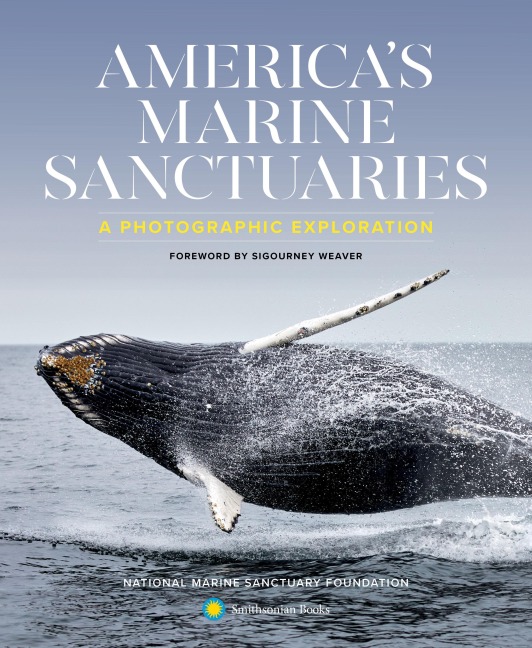 Americas Marine Sanctuaries: A Photographic Exploration