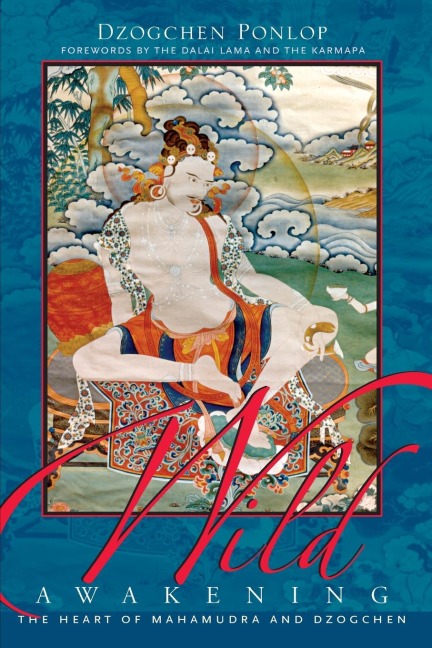 Wild Awakening: The Heart of Mahamudra and Dzogchen