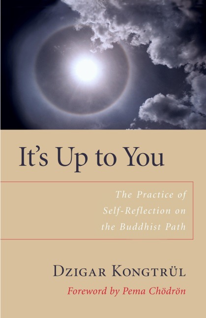 Its Up to You: The Practice of Self-Reflection on the Buddhist Path
