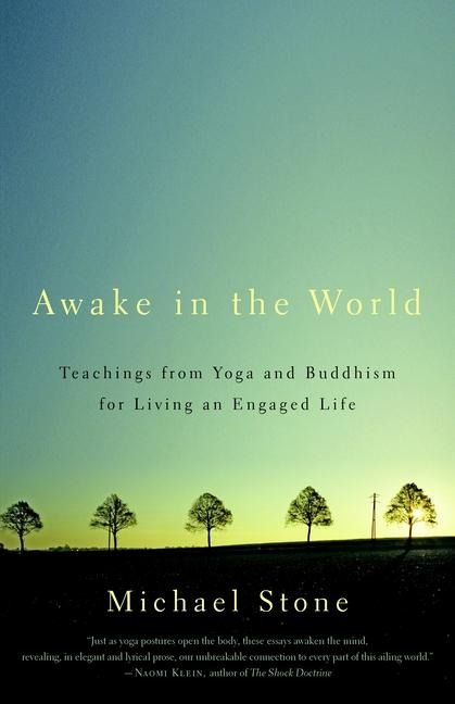 Awake in the World: Teachings from Yoga and Buddhism for Living an Engaged Life