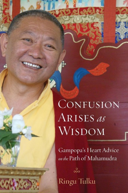 Confusion Arises as Wisdom: Gampopas Heart Advice on the Path of Mahamudra