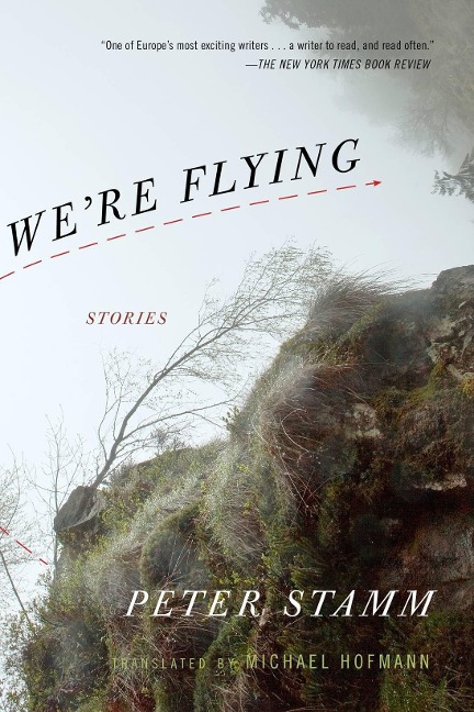 Were Flying: Stories
