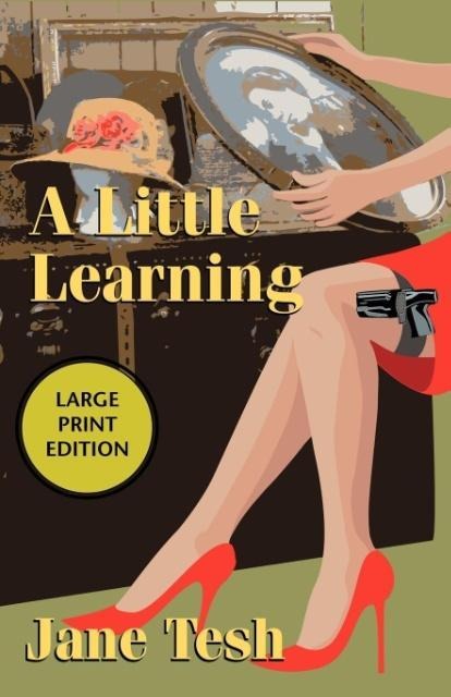 A Little Learning: A Madeline Maclin Mystery