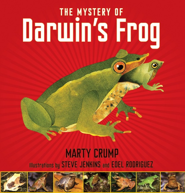 The Mystery of Darwins Frog