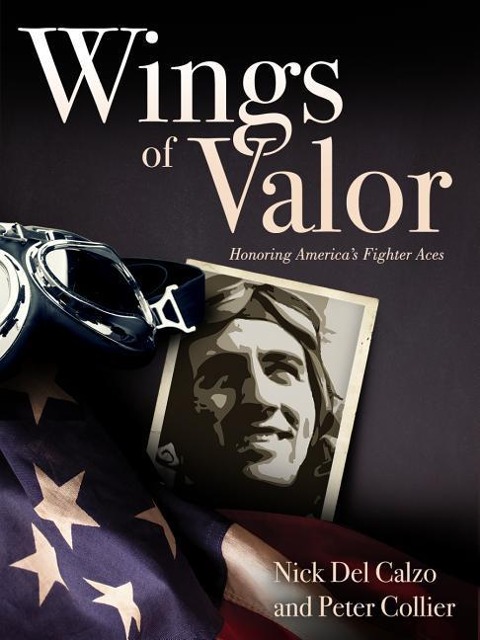 Wings of Valor: Honoring Americas Fighter Aces