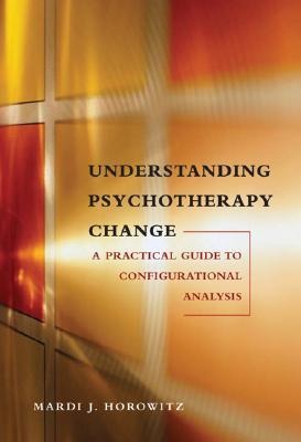 Understanding Psychotherapy Change: A Practical Guide to Configurational Analysis