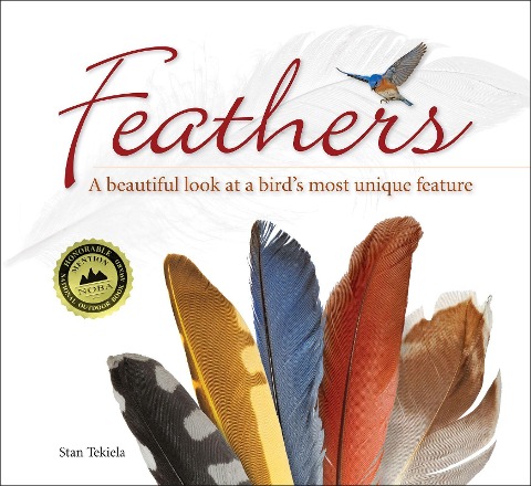 Feathers: A Beautiful Look at a Birds Most Unique Feature