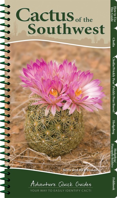 Cactus of the Southwest: Your Way to Easily Identify Cacti