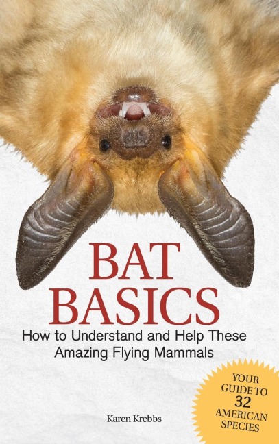 Bat Basics: How to Understand and Help These Amazing Flying Mammals