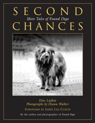 Second Chances: More Tales Of Found Dogs