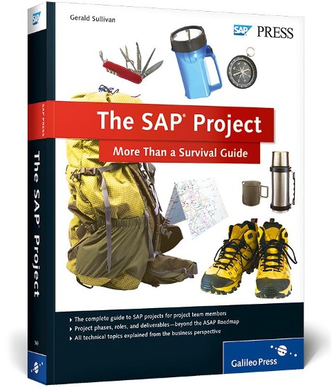 The SAP Project: More Than a Survival Guide