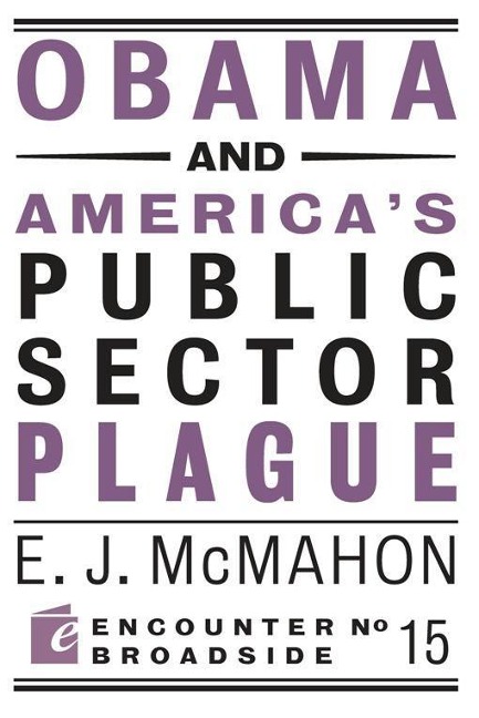 Obama and Americas Public Sector Plague