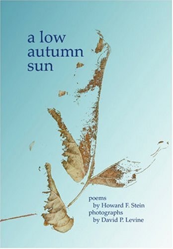 A Low Autumn Sun
