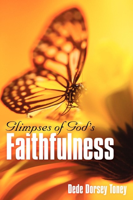 Glimpses of Gods Faithfulness