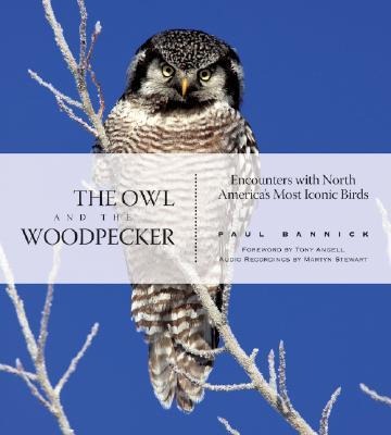 The Owl and the Woodpecker: Encounters with North Americas Most Iconic Birds