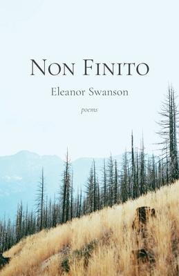 Non Finito