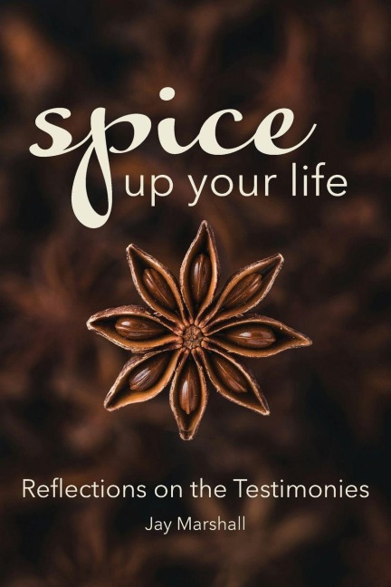 SPICE Up Your Life: Reflections on the Testimonies