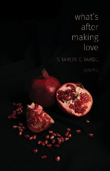 What's After Making Love: Poems