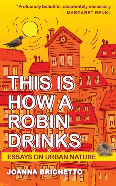 This Is How a Robin Drinks: Essays on Urban Nature