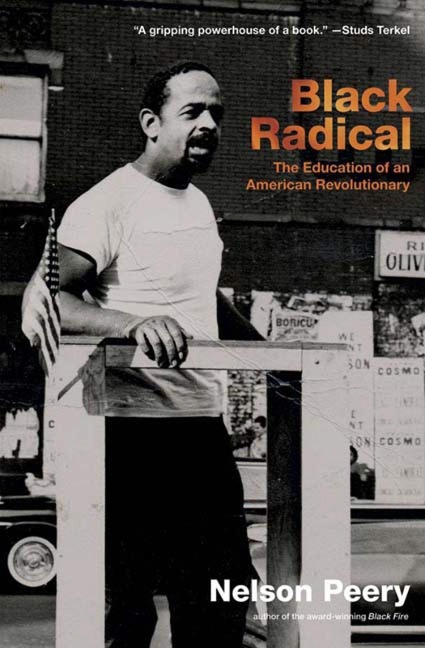 Black Radical: The Education of an American Revolutionary