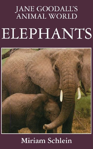 Jane Goodalls Animal World Elephants