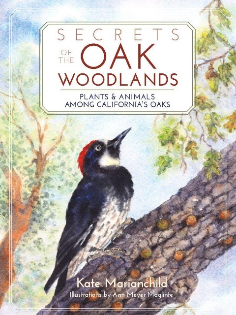 Secrets of the Oak Woodlands: Plants and Animals Among Californias Oaks