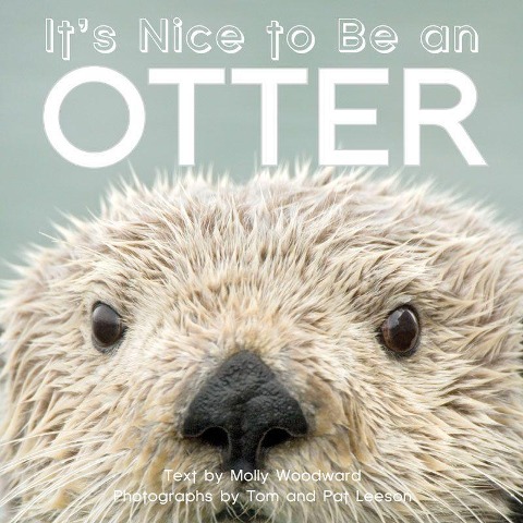 Its Nice to Be an Otter
