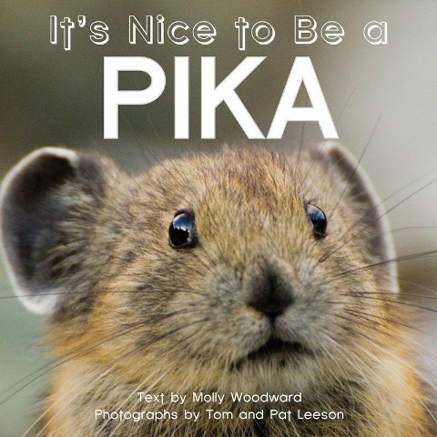 Its Nice to Be a Pika