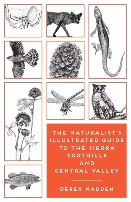 The Naturalists Illustrated Guide to the Sierra Foothills and Central Valley