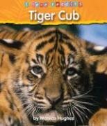 Tiger Cub