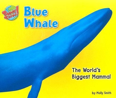 Blue Whale: The Worlds Biggest Mammal