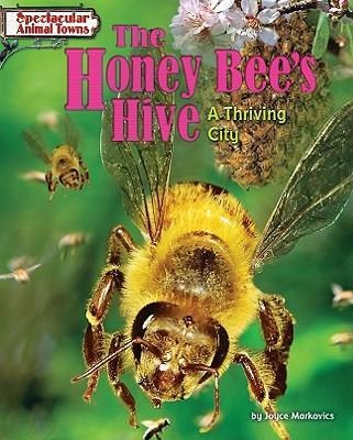 The Honey Bees Hive: A Thriving City