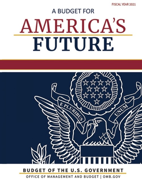 Budget of the United States, Fiscal Year 2021: A Budget for Americas Future